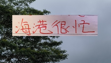 乐鱼体育leyu-2026年海港应该是最忙的球队 去年还有申花陪 今年只能是孤勇者