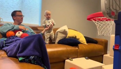 乐鱼官网-🥰湖人勇士报价多少？小婴儿篮球天赋爆棚 不开玩笑比库里强